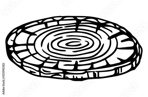 Round tree trunk cuts, sawn pine or oak slices, lumber. Saw cut timber, wood. Brown wooden texture with tree rings. Hand drawn sketch. Vector illustration