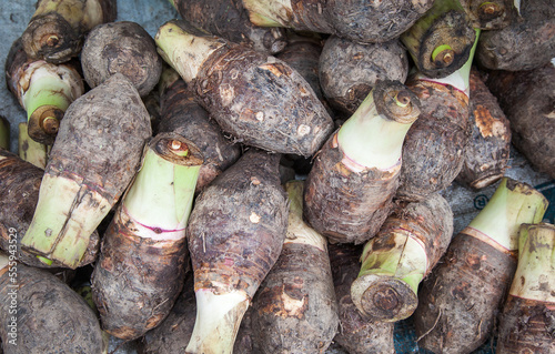 raw taro root