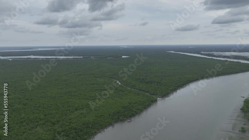 Wallpaper Mural Sundarban World largest mangrove forest in bangladesh. high quality aerial smooth raw video footage Torontodigital.ca