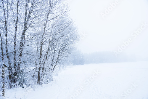 Winter landscape covered in snow and frost, highlands landscape with trees and meadows © Radim Glajc