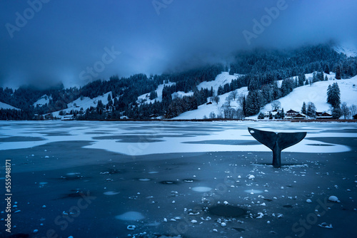 Winter in Schwarzsee, Fischflosse