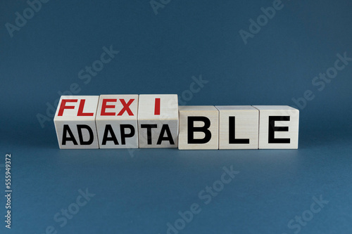 flexible or adaptable. Cubes form a selection of the words Flexible or Adaptable photo