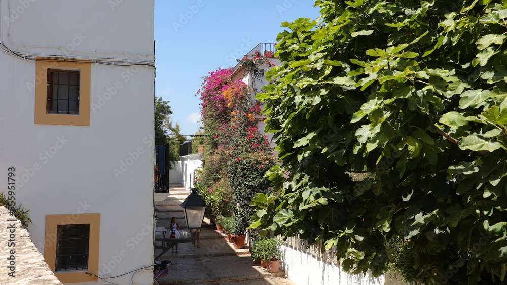 Dalt Vila, Ibiza, Islas Baleares, España