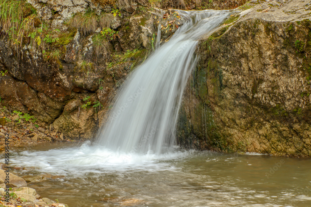 Obraz premium waterfall in the forest