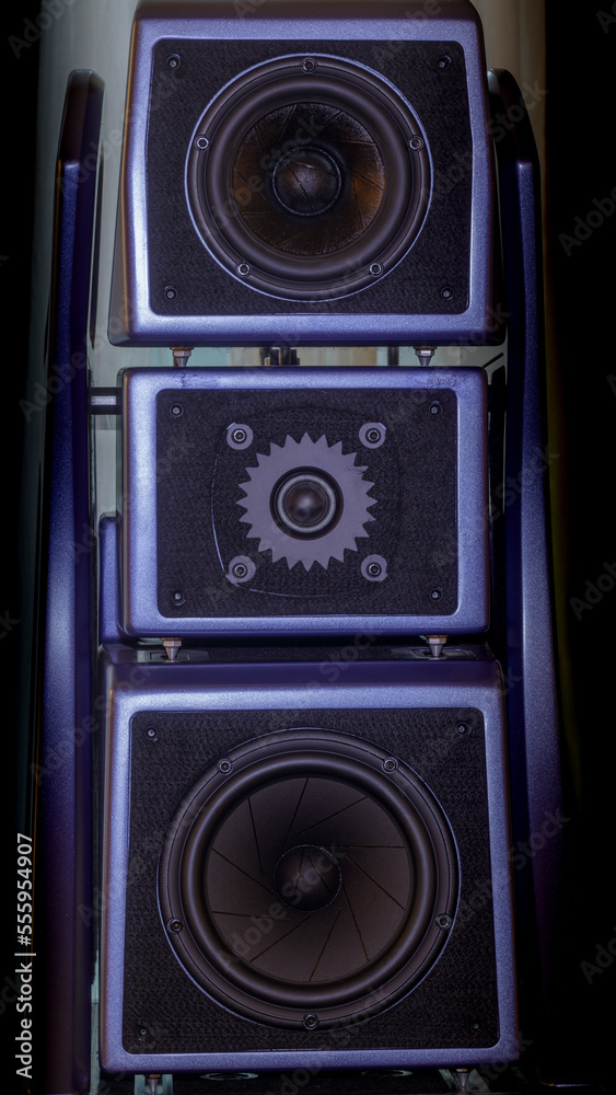 Midrange, Tweeter, and Woofer high-end hi-fi loudspeakers Midrange, Tweeter, and Woofer high-end hi-fi loudspeakers