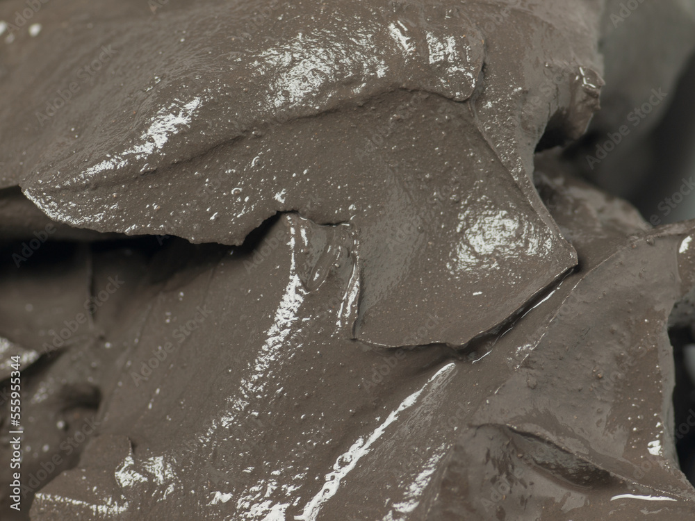 Dead sea mud texture. macro shot