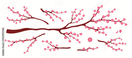 Plum blossoms, flowers, tree branch, floral design elements collection, clipart set, isolated on white. Hand drawn vector illustration. Modern flat style. Spring, Lunar New Year card, poster, banner