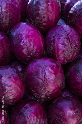 Red cabbage close-up on the farmers market