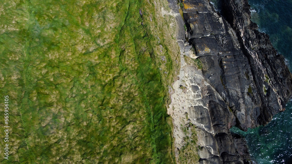 Dense thickets of grass on the shore. Grass-covered rocks on the Atlantic Ocean coast. Nature of Ireland, top view. Drone photo. View from above. Dense thickets of grass on the shore. Grass-covered rocks on the Atlantic Ocean coast. Nature of Ireland, top view. Drone photo. View from above.
