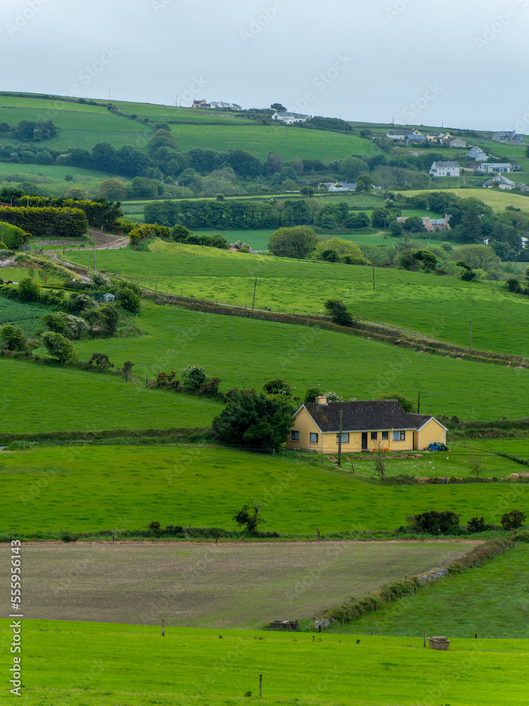 Obraz premium Picturesque countryside. Green farm fields, landscape. Beautiful Irish nature.