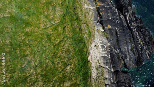 Dense thickets of grass on the shore. Grass-covered rocks on the Atlantic Ocean coast. Nature of Ireland, top view. Drone photo. View from above.