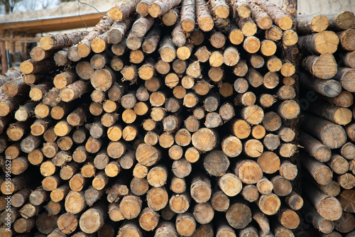 sawn wood  stacked logs of trees
