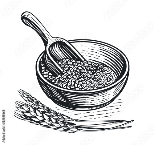 Healthy Food. Breakfast porridge bowl in sketch style. Barley grains, wooden scoop and ears of wheat. Vintage vector
