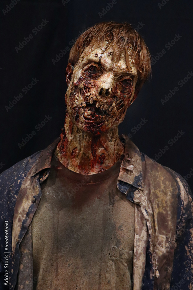 Male Bloody Decayed  Zombie #2 - obrazy, fototapety, plakaty 