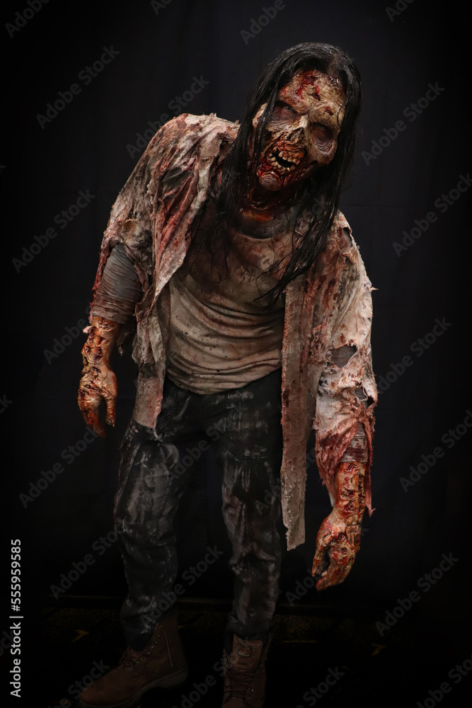 Male Zombie with long hair #1 Male Zombie with long hair #1