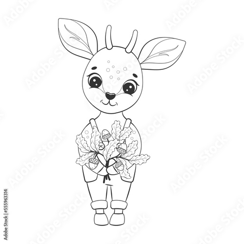 Vector cute antelope baby with oak twigs and acorns. Bambi. Childrens coloring book. Monochrome, black and white graphic. Isolated on white