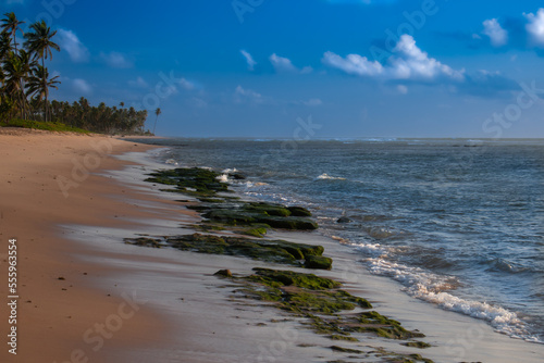 Rocks on the edge of the beach at low tide  with coconut trees in the background.