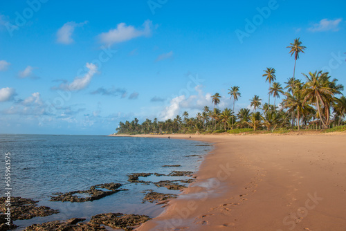 Brazilian beach, at low tide, with exposed reefs and coconut trees in the background.