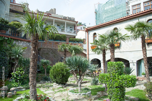 Tropical Garden In Tbilisi Old Town