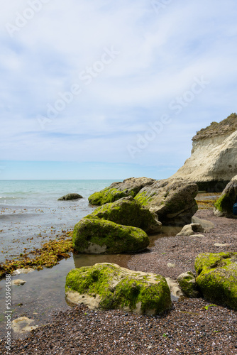A beach with rocks covered of green moss and seaweed