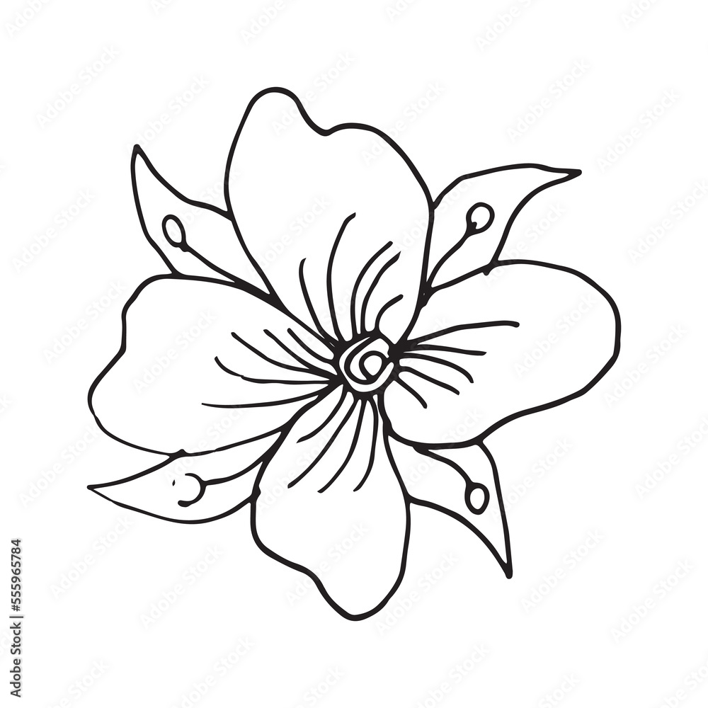 Flower hand drawn vector design template