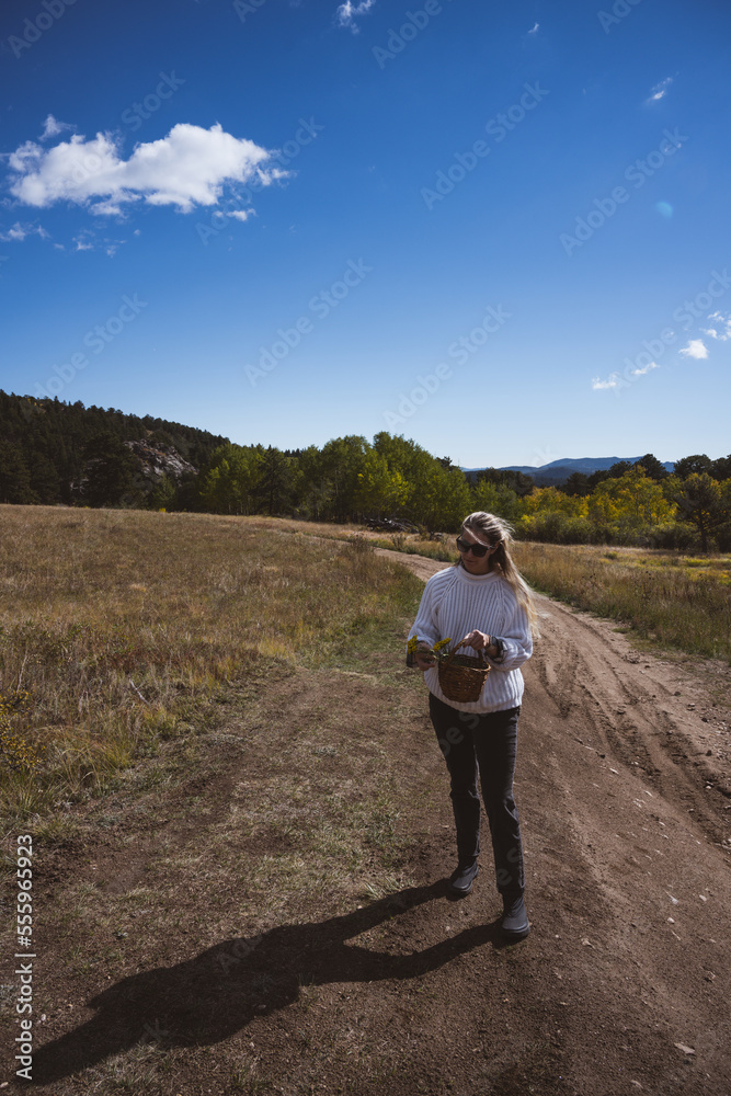 Woman walking in a field carrying a basket of flowers in the rocky mountains - dirt road, foraging, sustainable lifestyle