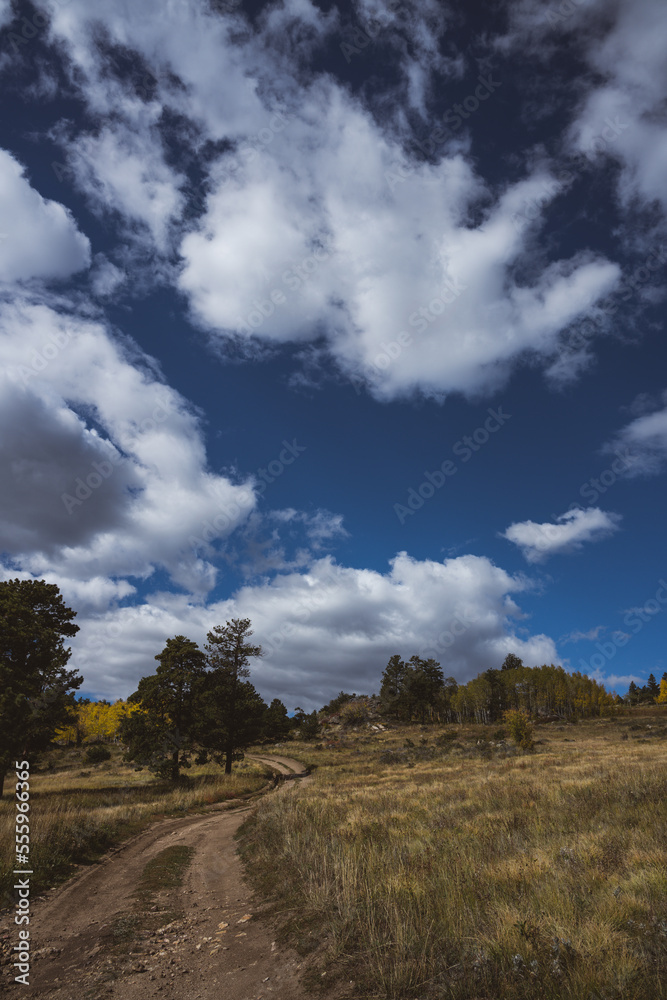 Obraz premium Rocky mountain rural landscape in the fall - golden field with colorful folliage