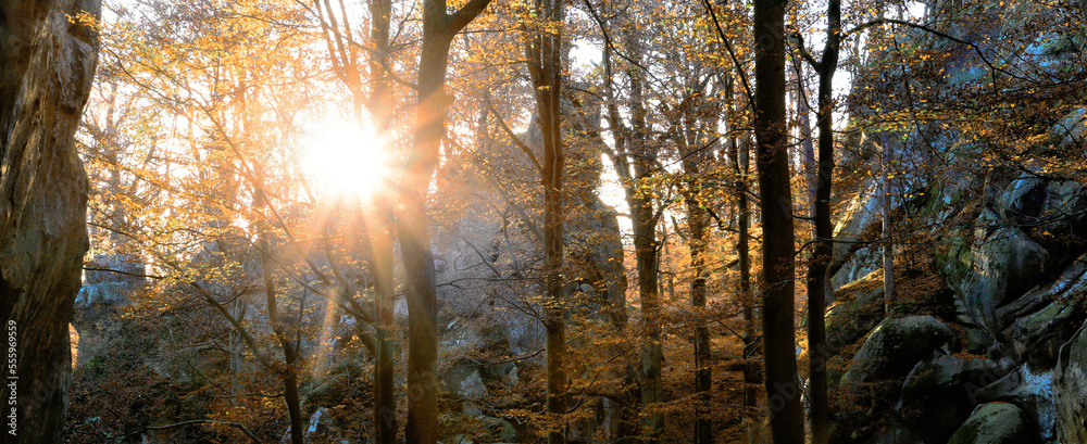 autumn morning scenery, nature colorful background, Germany, Europe.