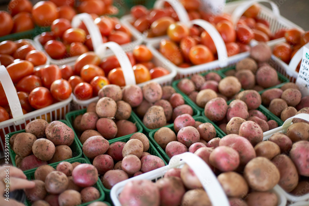 Potatoes and Tomatoes at Don Valley Brick Works Farmer's Market, Toronto, Ontario, Canada Potatoes and Tomatoes at Don Valley Brick Works Farmer's Market, Toronto, Ontario, Canada