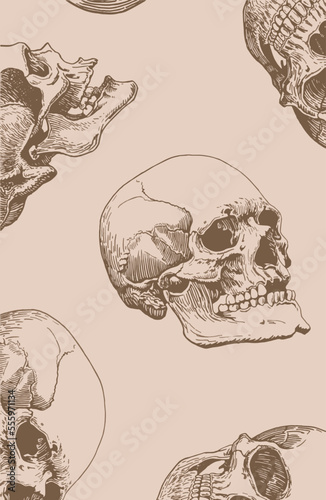 Graphical vertical vintage pattern with human skulls on sepia background, wallpaper , fossils cover