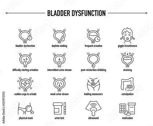 Bladder Dysfunction symptoms, diagnostic and treatment vector icon set. Line editable medical icons.