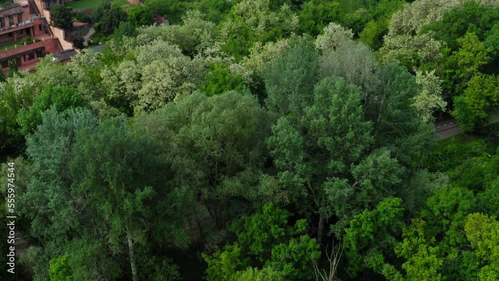Establishing drone shot of beautiful expensive area of the city with expensive elite houses. Expensive cottages and condominiums among green trees in the park area: luxury real estate in the city. Establishing drone shot of beautiful expensive area of the city with expensive elite houses. Expensive cottages and condominiums among green trees in the park area: luxury real estate in the city.