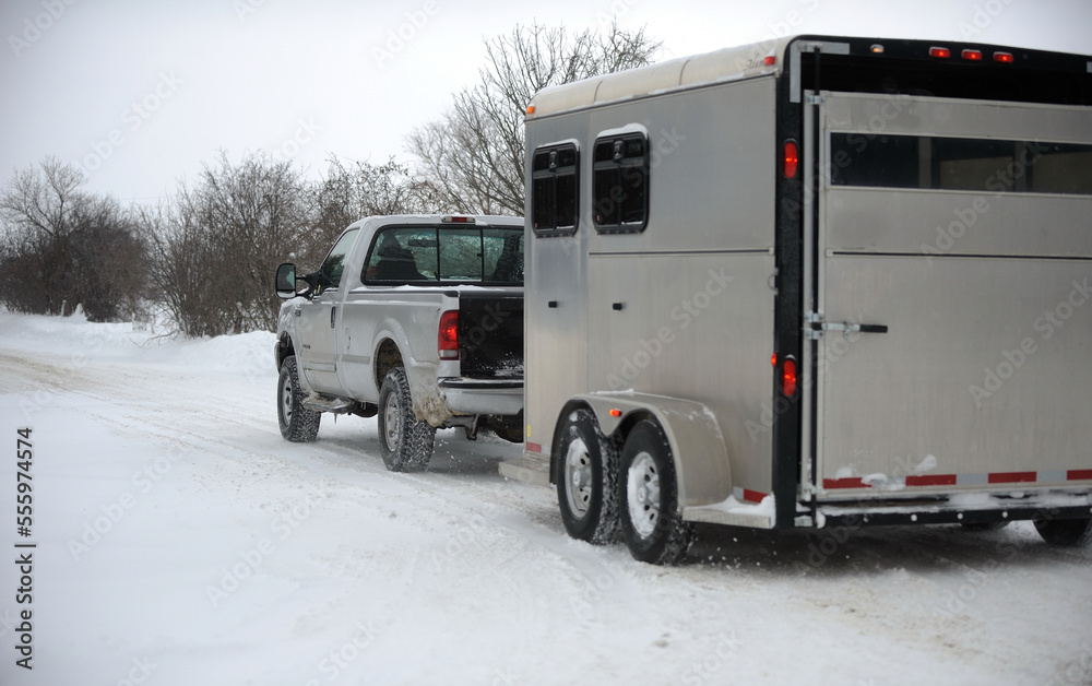 truck towing horse trailer in winter driving conditions hauling horse trailer in winter snowy slippery roads dangerous and hazardous conditions during snow storm on wet snowy roads horizontal format 