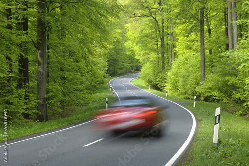Road Through Forest, Spessart, Bavaria, Germany, Europe