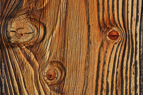 Close-up of wooden board, Bavaria, Germany photo