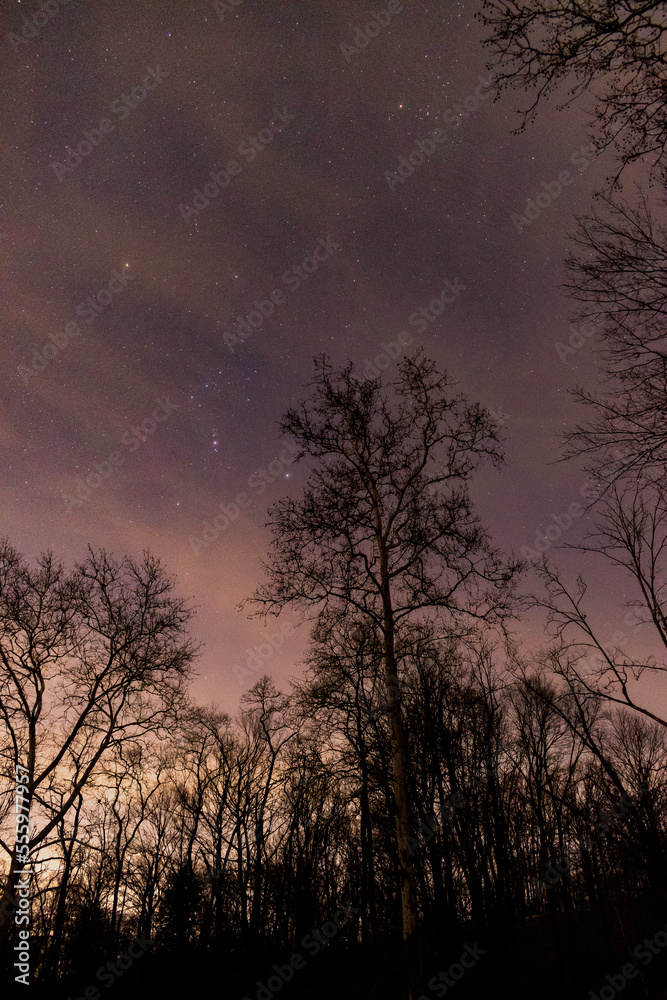 Starry night over woods.