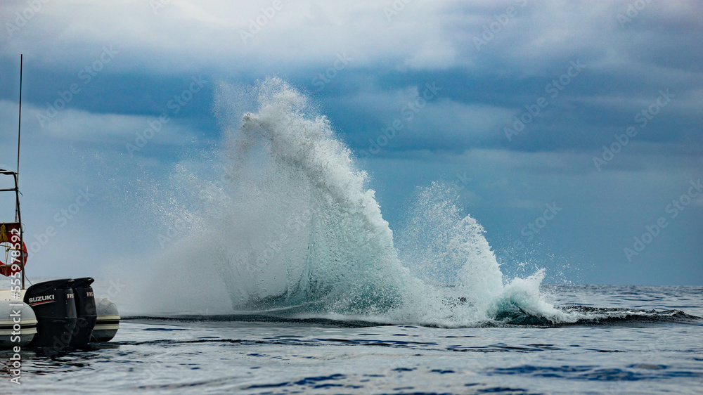 Obraz premium Humpback whale around Cabo San Lucas, Mexico