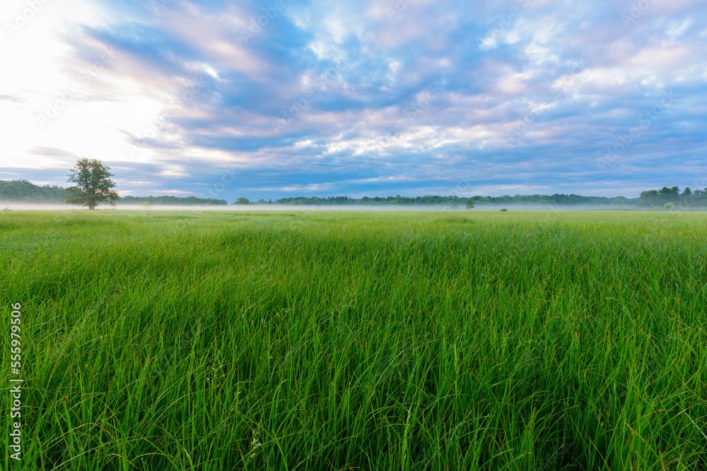Landscape in early morning, Springtime, Hesse, Germany, Europe Landscape in early morning, Springtime, Hesse, Germany, Europe