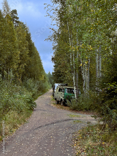 Derelict old car is overgrown with grass