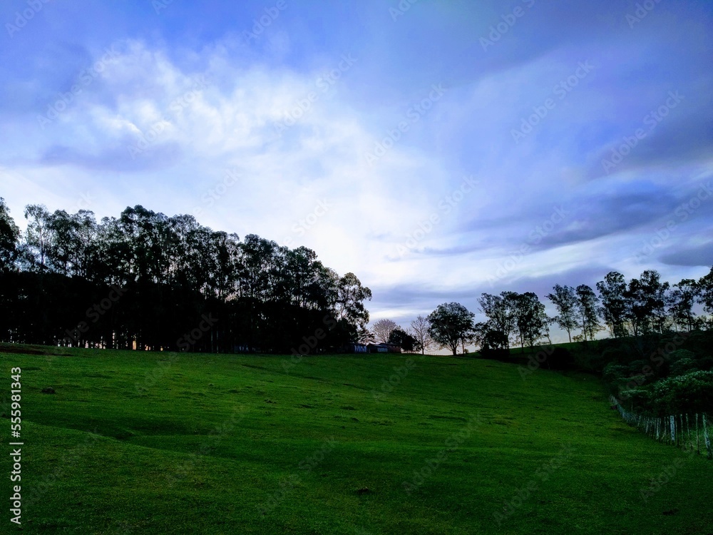 hill lawn with trees, trees on the horizon and calm clouds in the sky