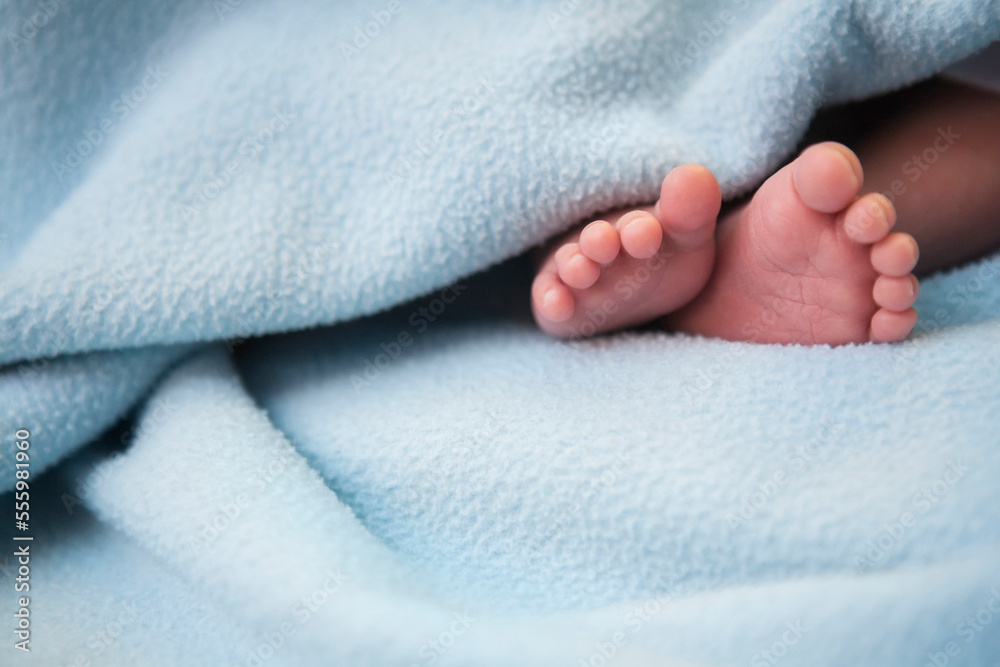 Close-up of infant's feet surrounded by blanket, studio shot Close-up of infant's feet surrounded by blanket, studio shot