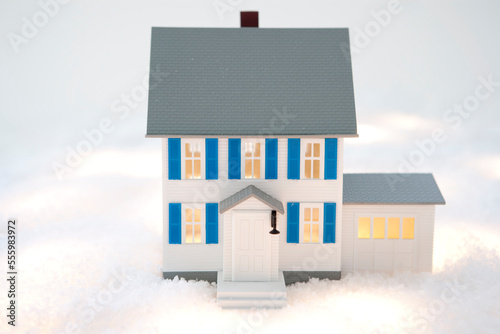 Model House in Fake Snow