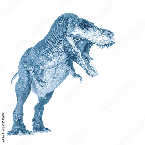 tyrannosaurus rex is angry and looking for food in white background