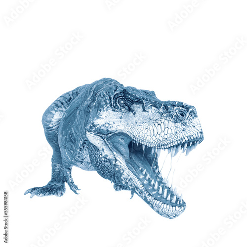 tyrannosaurus rex is getting ready to jump in white background