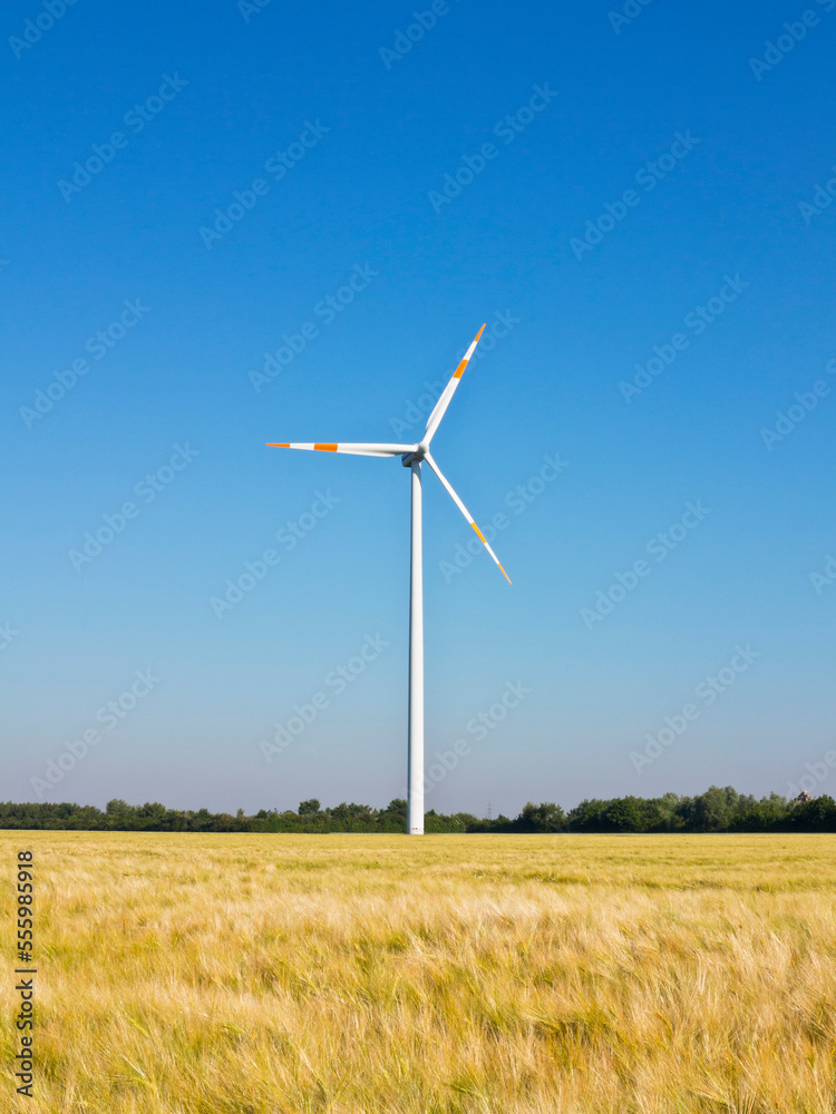 Wind turbine with wheat field in foreground, Germany Wind turbine with wheat field in foreground, Germany