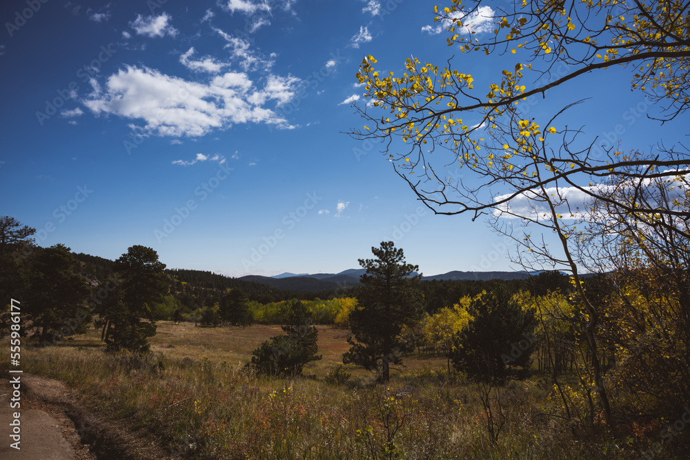 Obraz premium Rocky mountain rural landscape in the fall - golden field with colorful folliage