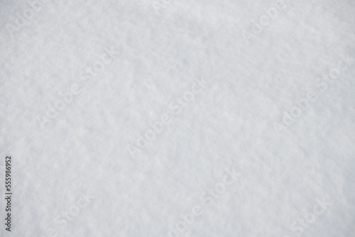 Abstract snow texture. White winter background. Snowy whiteness