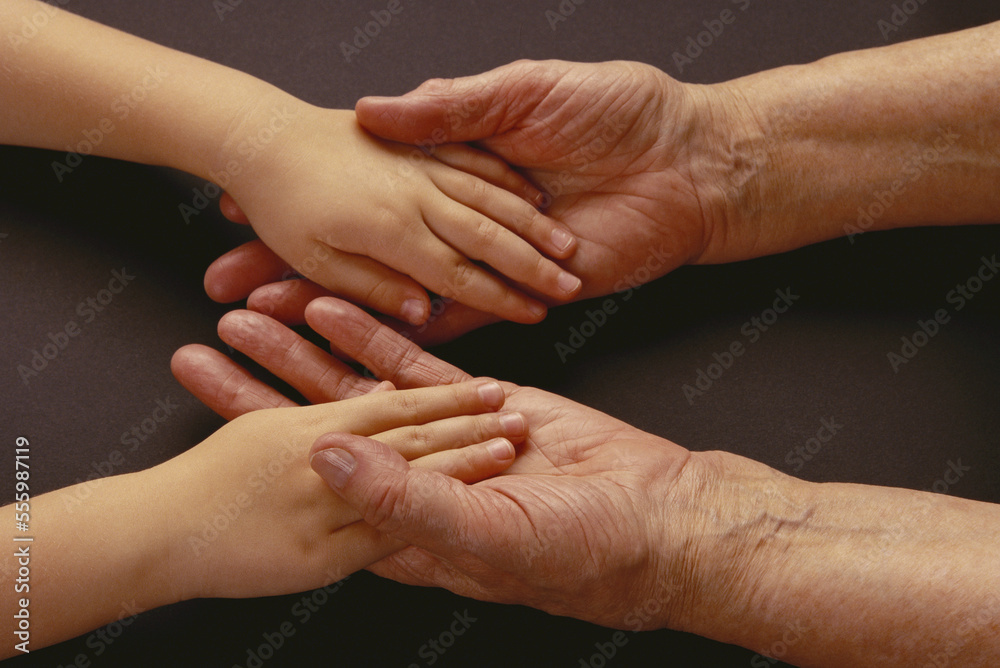 Child's and Adult's Hands Child's and Adult's Hands
