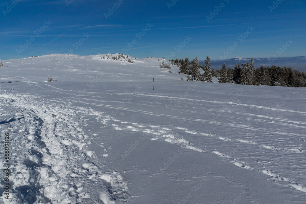 Winter landscape of Vitosha Mountain, Bulgaria