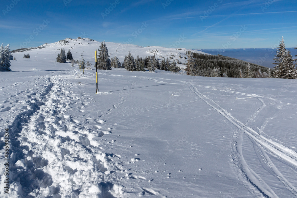 Obraz premium Winter landscape of Vitosha Mountain, Bulgaria